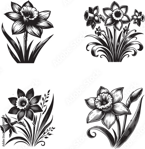 Elegant Black and White Daffodil Flower Silhouettes Collection