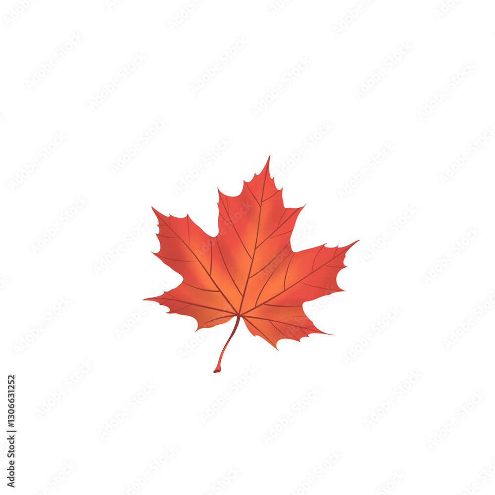 Maple leaves