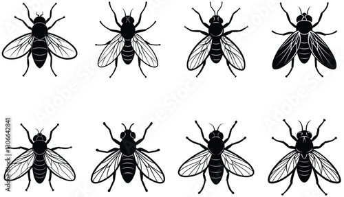 Fly vector shilhouette bundle Set Icon .