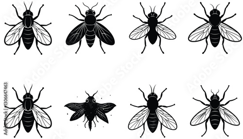 Fly vector shilhouette bundle Set Icon .