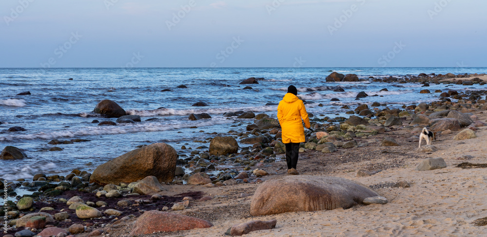 Panorama Woman wearing a yellow rain jacket walks with her dog on the beach on Rügen on the Baltic Sea
