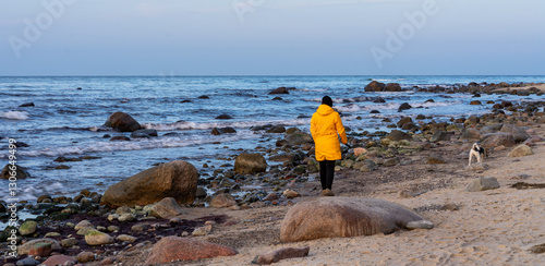 Obraz na płótnie Panorama Woman wearing a yellow rain jacket walks with her dog on the beach on Rügen on the Baltic Sea w salonie