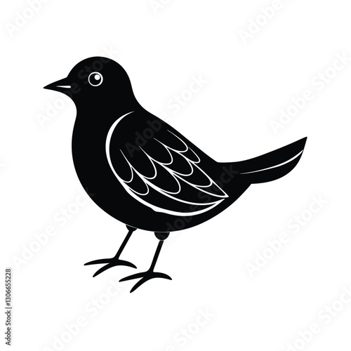 bird vector illustration