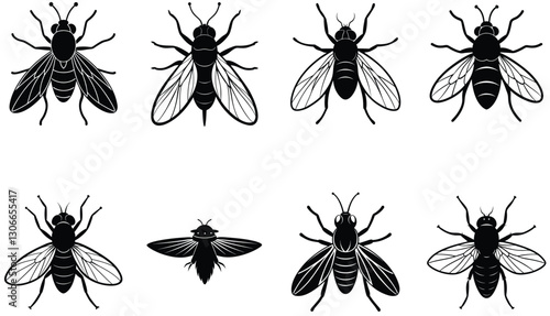 Fly vector shilhouette bundle Set Icon .