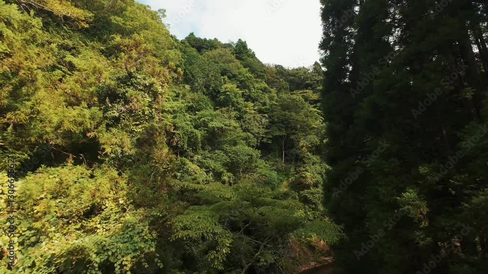 Drone running through the forest