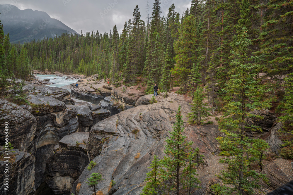 Fototapeta premium Mistaya Canyon in Banff National Park, Canada. A stunning river gorge with smooth rock formations, surrounded by dense evergreen forest and mountains. A popular spot for hiking and nature photography.