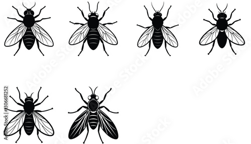 Fly vector shilhouette bundle Set Icon .