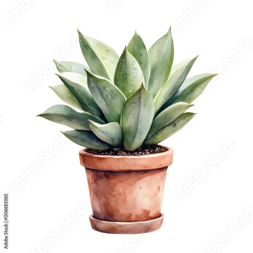 Potted Agave Plant Showcasing Bluish-Green Leaves in Terracotta Pot