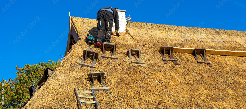 Panorama Thatched roof is being renovated on a house in the north of Germany