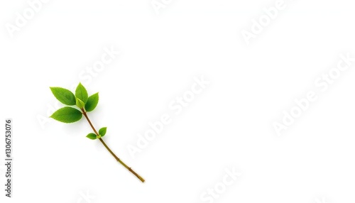 Single vibrant green plant, isolated on pure white background, design, nature