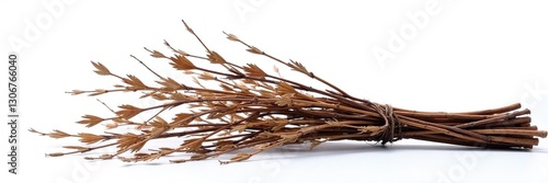 A bundle of dried willow branches against white, foliage, garden, twiggy