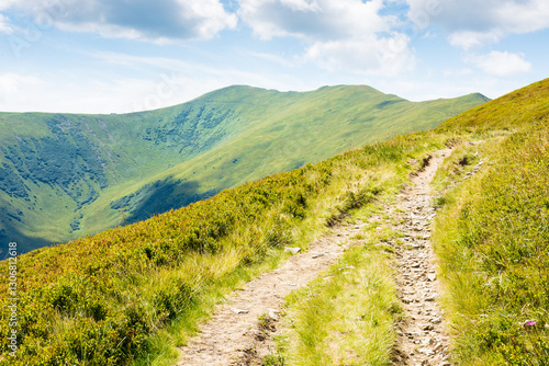 Obraz na płótnie mountain landscape with path uphill. picturesque journey. beautiful nature scenery with steep grassy slopes in summer. trail to the mountain top. sunny day with clouds on the sky. highland of ukraine w salonie