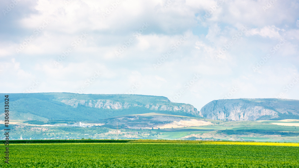 beautiful countryside of romania. picturesque outskirts. sunny day. wonderful summer landscape in mountains. green field and rolling hills. rural scenery. cluj region