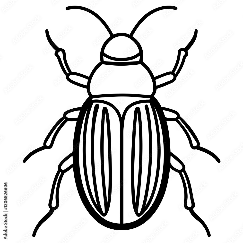 Elegant Beetle Line Drawing Vector Elegant Beetle Line Drawing Vector