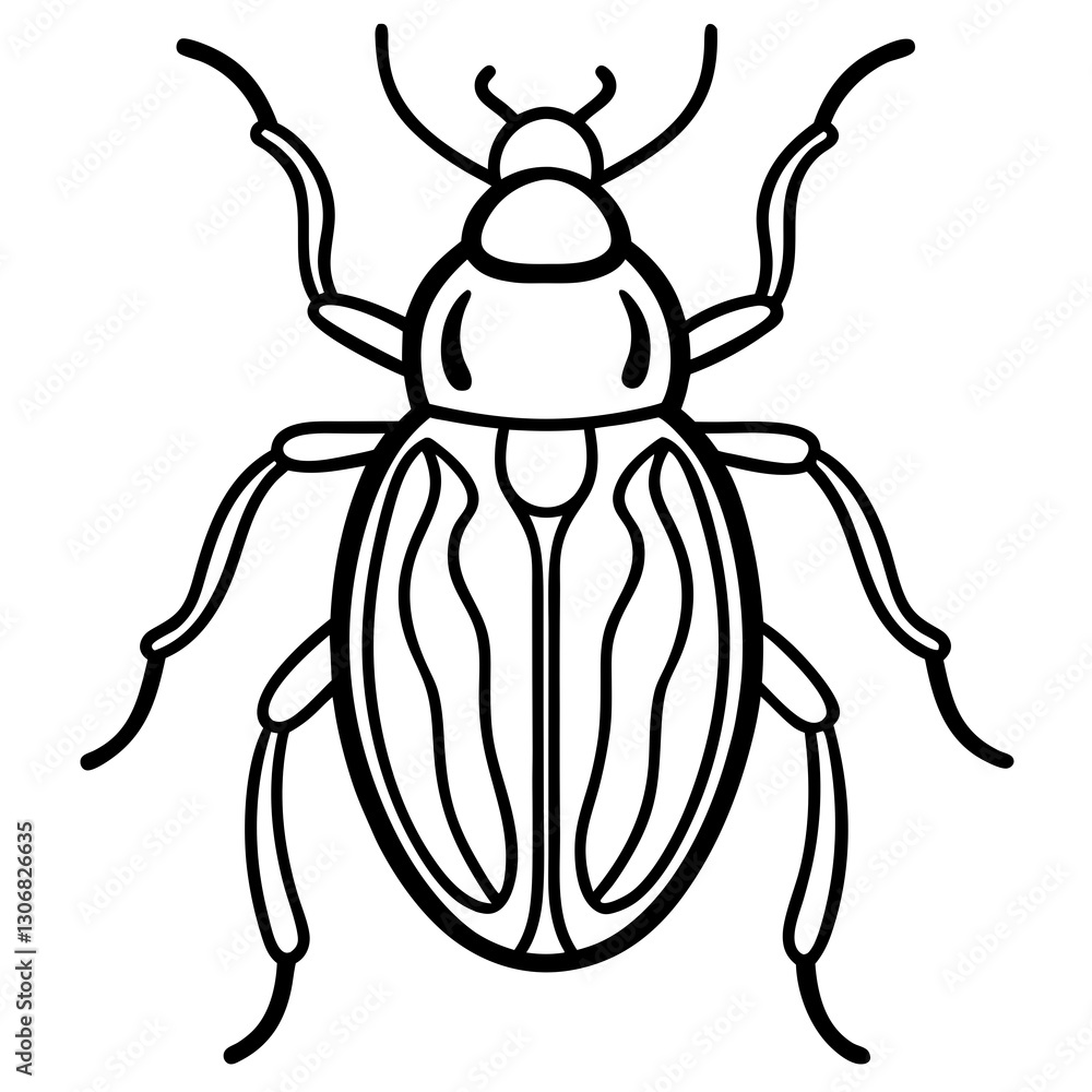 Elegant Beetle Line Drawing Vector Elegant Beetle Line Drawing Vector