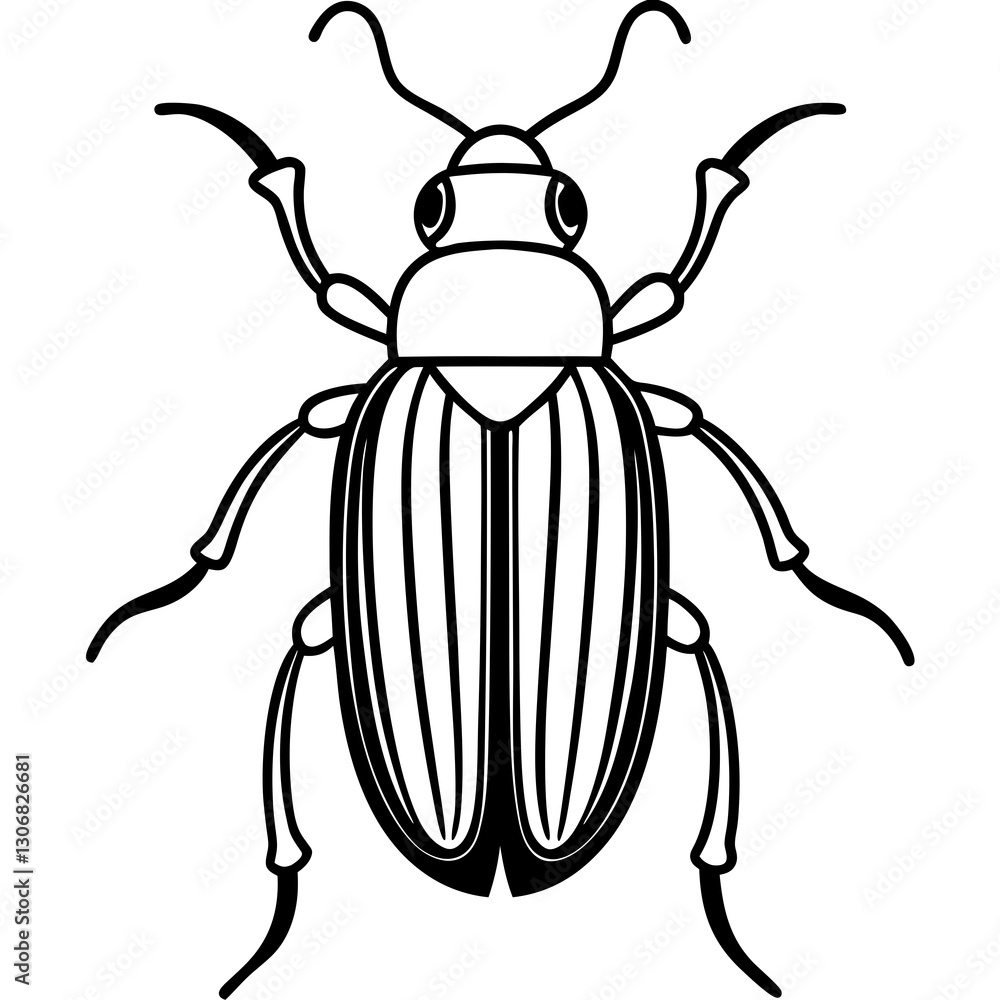 Elegant Beetle Line Drawing Vector Elegant Beetle Line Drawing Vector