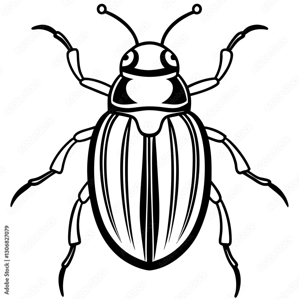 Elegant Beetle Line Drawing Vector Elegant Beetle Line Drawing Vector
