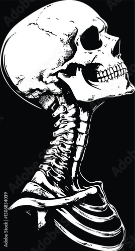 Monochrome illustration of a human skeleton in profile, head tilted back, showcasing detailed bones and spine. Ideal for tattoos, gothic art, horror themes, or anatomical studies