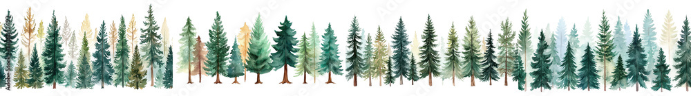Fototapeta premium Lush evergreen woodland landscape with towering pine spruce and fir trees standing tall in a serene and peaceful wilderness setting Tranquil natural background with a minimalist