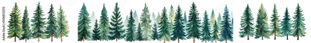 Obraz premium Majestic Evergreen Forest Landscape with Towering Pine and Spruce Trees in Serene Wilderness Peaceful tranquil and untouched natural environment perfect for outdoor activities like camping hiking