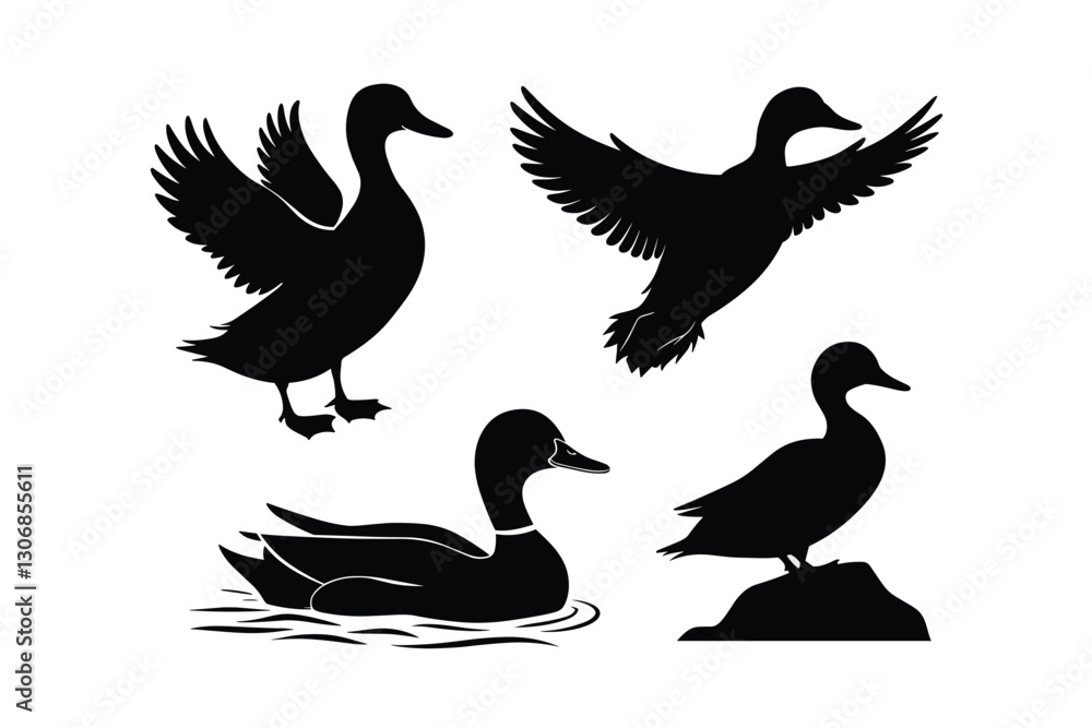 Obraz premium Duck Silhouettes