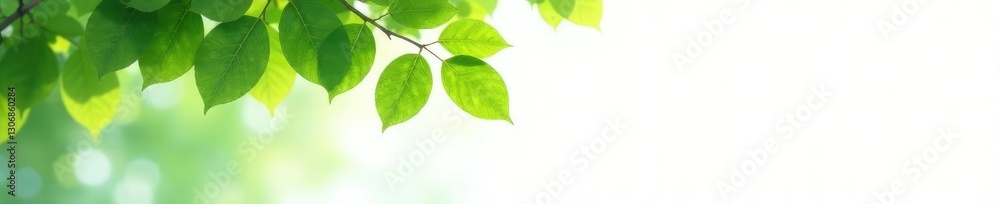 Tree's leaves rustling softly against the white background, showcasing the texture of foliage, soft, nature, solo Tree's leaves rustling softly against the white background, showcasing the texture of foliage, soft, nature, solo