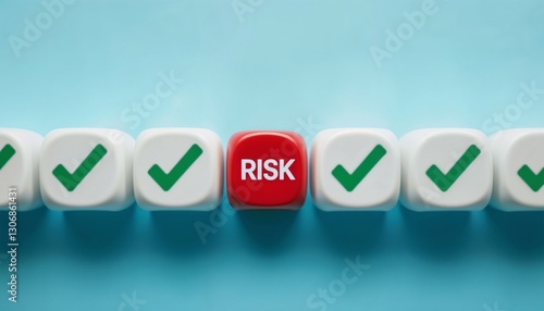 risk management