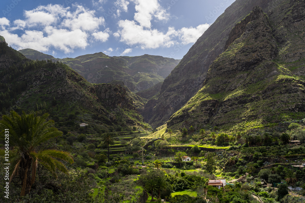 Obraz premium Agaete Valley landscape. San Pedro town. Agaete. Gran Canaria. Canary islands Spain