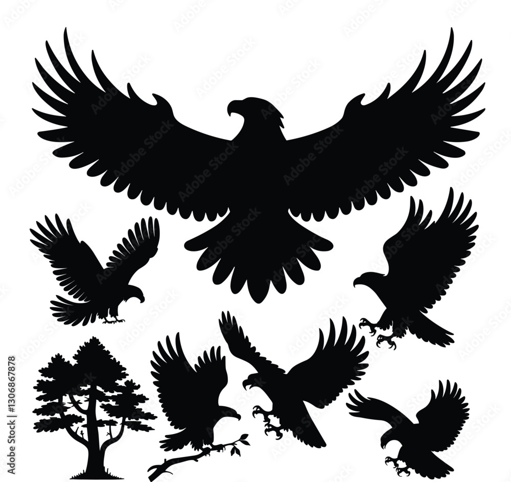 Obraz premium Eagle Silhouettes