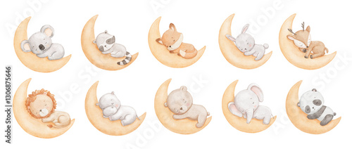 Watercolor cute bear, elephant and fox sleeping on moon, watercolor hand draw illustrations set for kids, woodland animals, painted drawing with isolated background