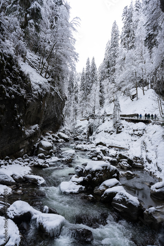 stream in the mountains