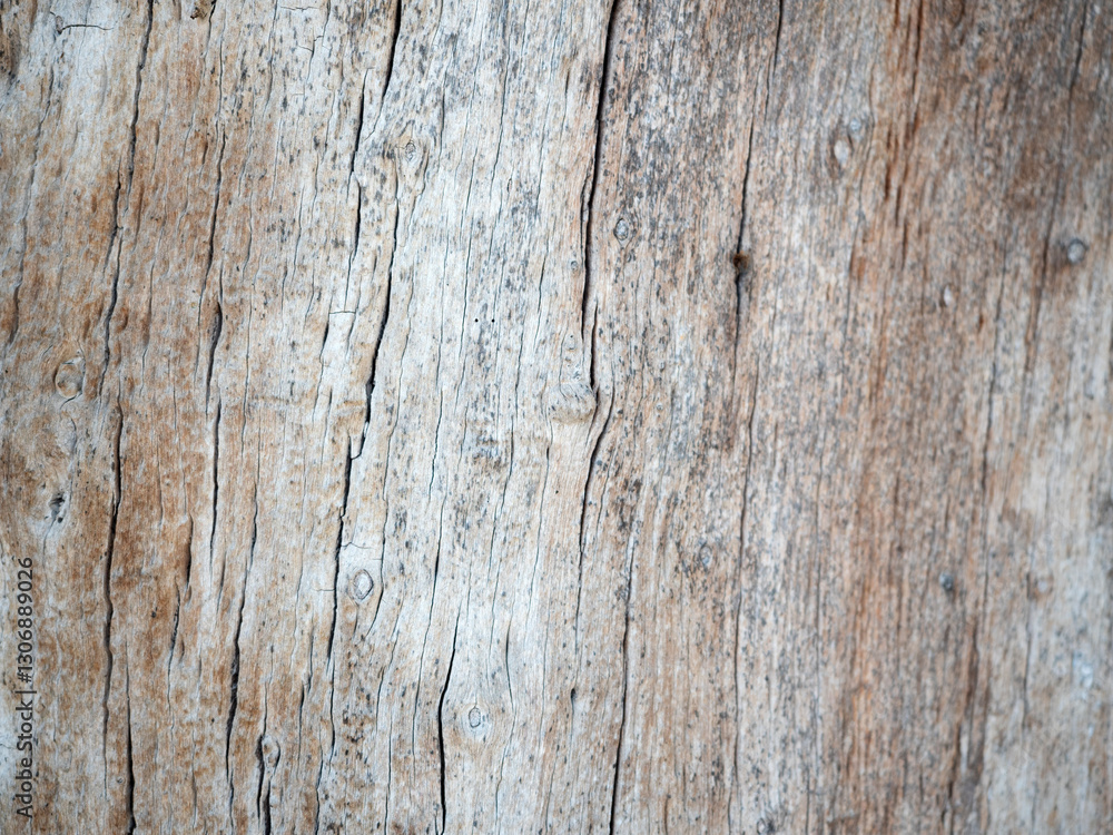 Close up wood pattern and texture for nature Background.
