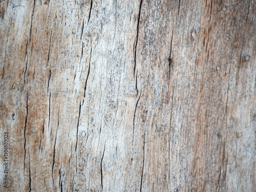 Obraz na płótnie Close up wood pattern and texture for nature Background. w salonie