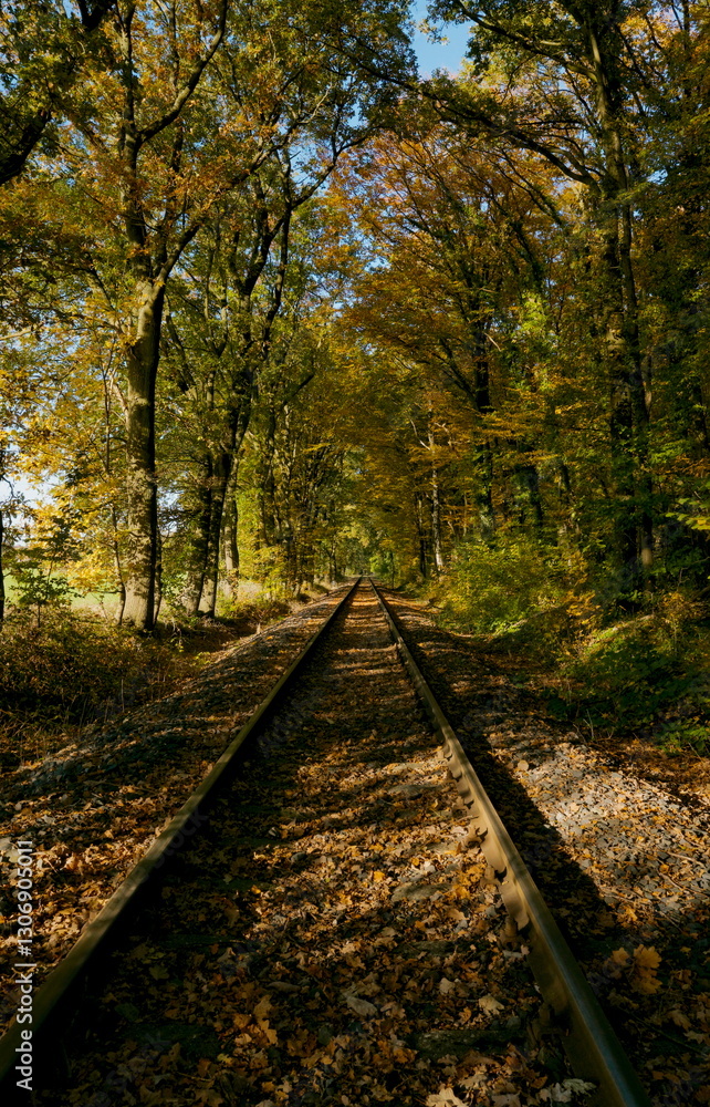 Alte Bahngleise führen durch einen herbstlichen Wald, die warme Nachmittagssonne wirft lange Schatten auf den Boden und lässt die goldenen Blätter in warmem Licht erstrahlen. Alte Bahngleise führen durch einen herbstlichen Wald, die warme Nachmittagssonne wirft lange Schatten auf den Boden und lässt die goldenen Blätter in warmem Licht erstrahlen.