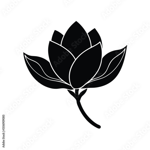 vector illustration of a leaf