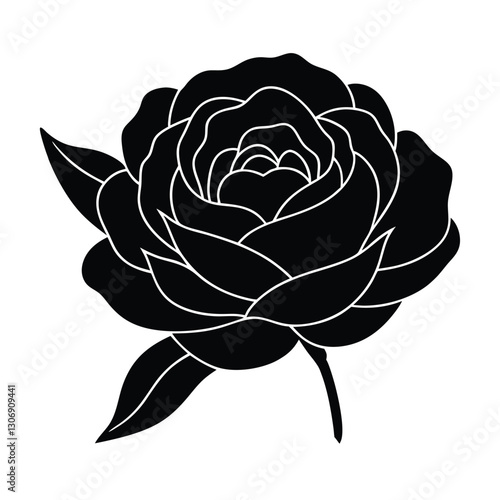 rose flower vector illustration