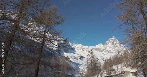 Wallpaper Mural Snow in the mountains video clip. Snowy winter forest video. Torontodigital.ca