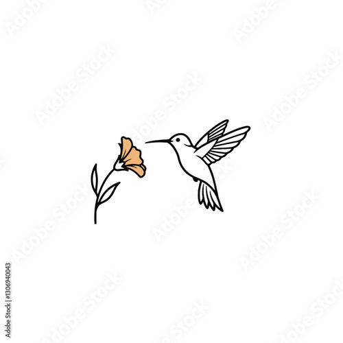 Hummingbird Vector Logo Design