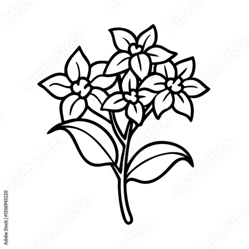 Bouvardia flower icon in bloom, nature beauty concept