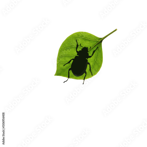 Beetle On Leaf Vector Logo Design