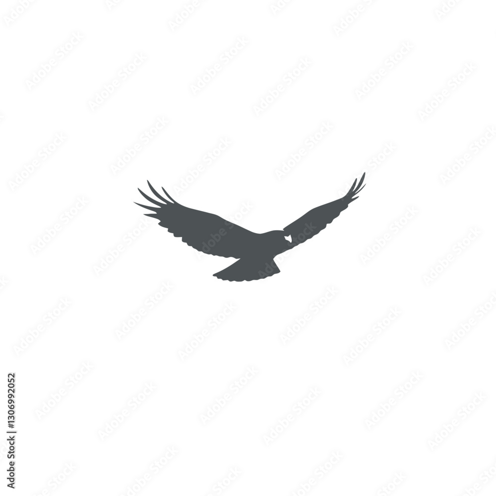 Fototapeta premium Hawk Silhouette in Flight