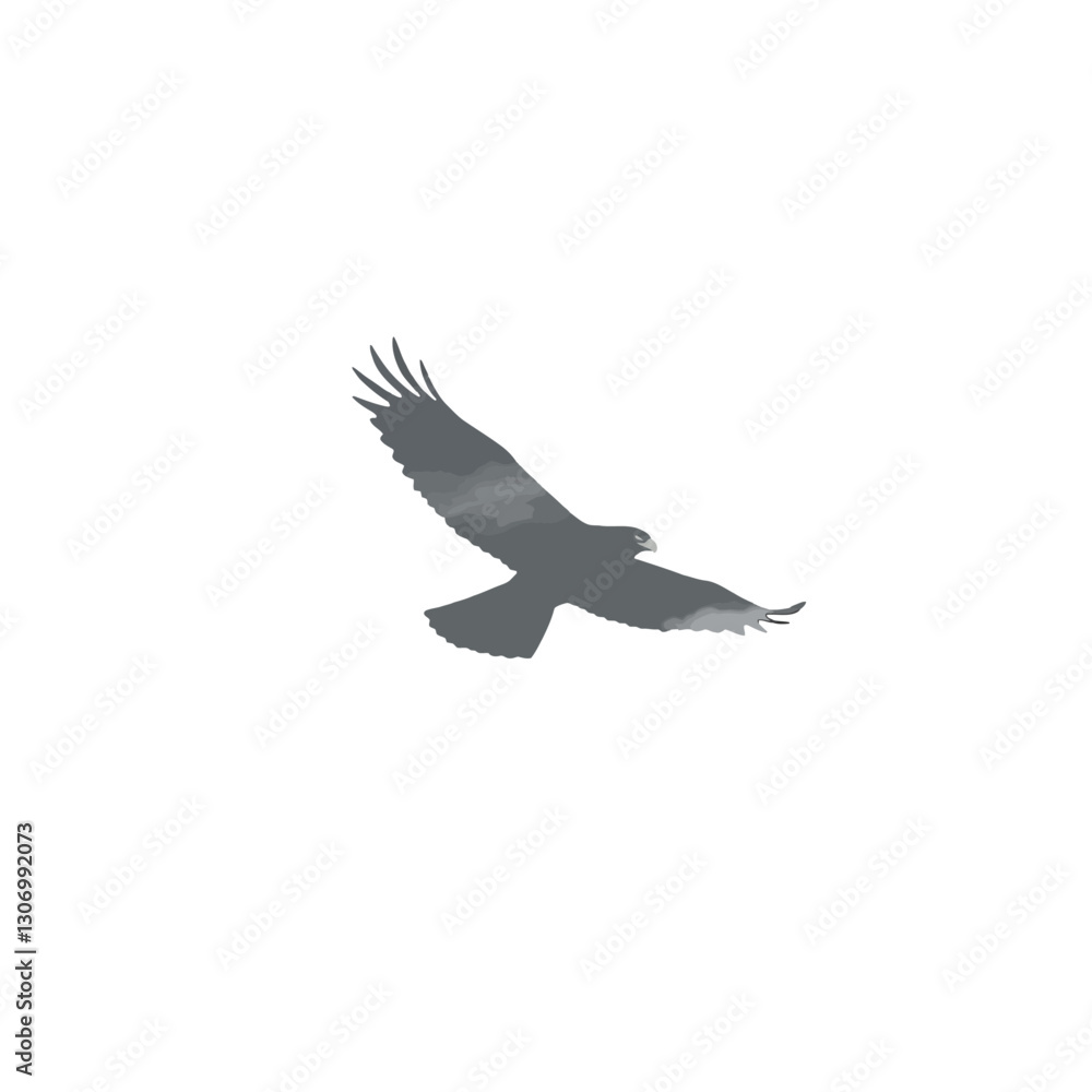 Obraz premium Flying Hawk