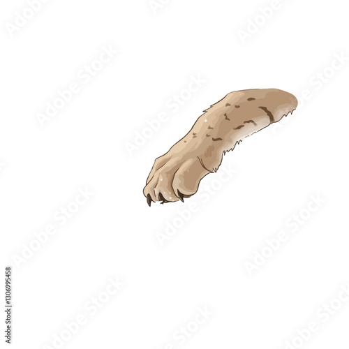 Animal Paw Illustration