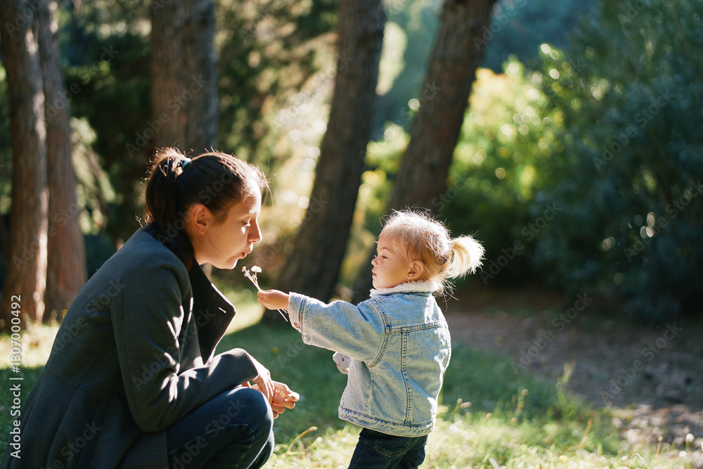 Fototapeta premium Mom blows on dandelions in the hand of a little girl squatting in the forest