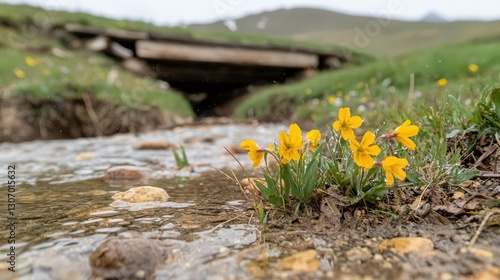 Mountain Stream Flowers Wooden Bridge