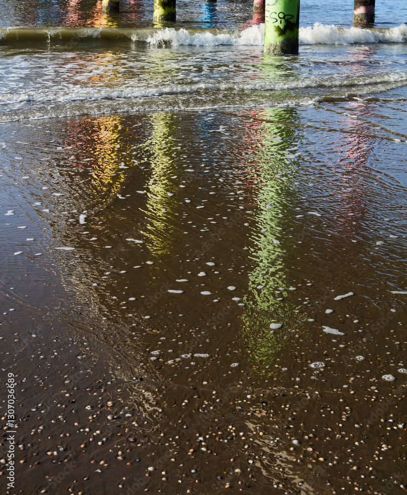 Fototapeta premium Cors in the water