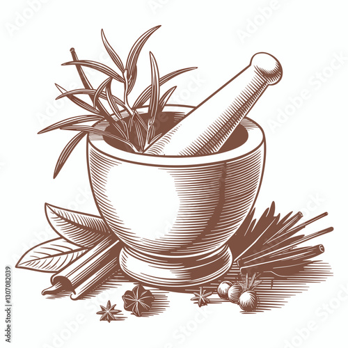 Vintage Herbal Apothecary Engraving
