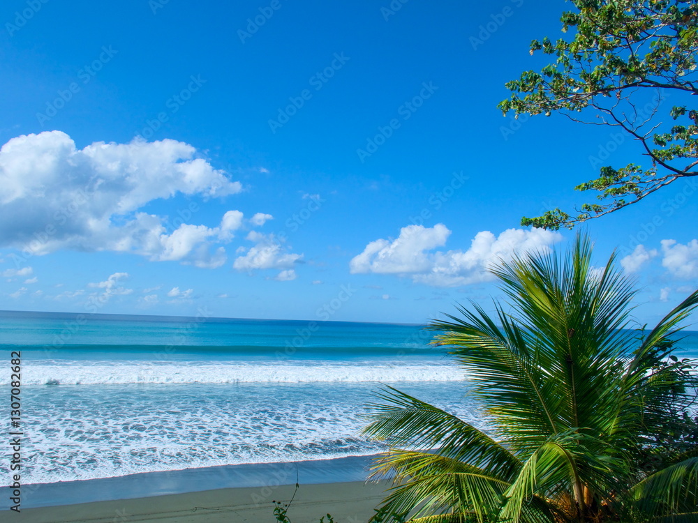 Obraz premium Lonely Beach in Costa Rica with Palm Trees, Blue Sky, and White Sea Foam