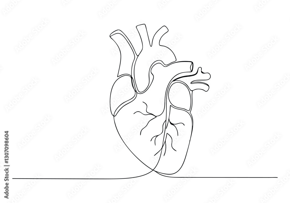Fototapeta premium Continuous One Line Human Heart | Minimalist Anatomy Vector Illustration