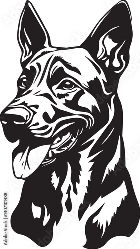 belgian malinois dog portrait